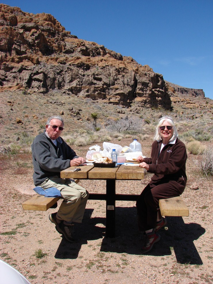 mojave (10) (Copier).JPG